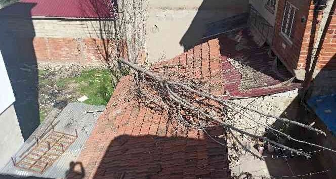 Kavak ağacı çatıya düştü